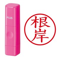 ��Ӂ@�l�[����@�l�[���L���[�u�@�s���N�@����