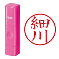 ��Ӂ@�l�[����@�l�[���L���[�u�@�s���N�@�א�