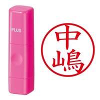 ��Ӂ@�l�[����@�l�[���L���[�u�@�s���N�@����