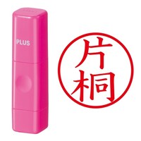 ��Ӂ@�l�[����@�l�[���L���[�u�@�s���N�@�Ћ�