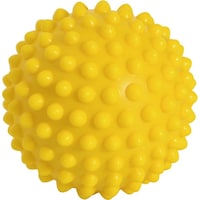 �G�o�{�[���P�O�i�Q���j