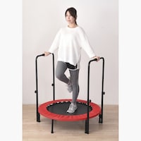 ���肷��t���g�����|����