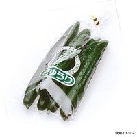 �V�N�p�b�N�@���イ��i��j�~�P�O�O