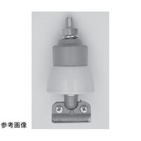 �C���[�V�q�i�R�^�W�~�P�^�Q�j�P�O����