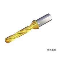 �n��������h�����z���_�[�@�h�������b�V��