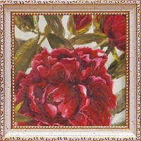 �W���[�Q���S�b�c�N���O�u�p�b�V���l�C�g�K�[�f���Q�v