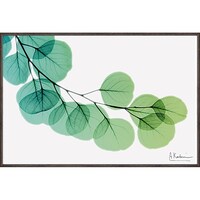 �w�������L�����o�X�A�[�g�u���[�J���i�r�j�v