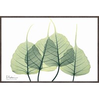 �w�������L�����o�X�A�[�g�u���[�t�R�i�r�j�v