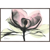 �w�������L�����o�X�A�[�g�u�s���N�}�O�m���A�i�r�j�v