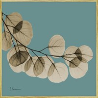 �w�������L�����o�X�u���[�t�u���[�P�@�X�N�G�A�r�v