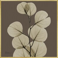 �w�������L�����o�X�u���[�t�u���E���P�@�X�N�G�A�r�v