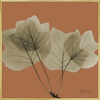 �w�������L�����o�X�u���[�t�I�����W�P�@�X�N�G�A�r�v