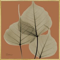 �w�������L�����o�X�u���[�t�I�����W�Q�@�X�N�G�A�r�v