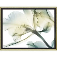 �w�������L�����o�X�u�t�@�~���A���}���X�i�l�j�v