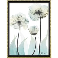 �w�������L�����o�X�u���O�W���A���[�i�l�j�v