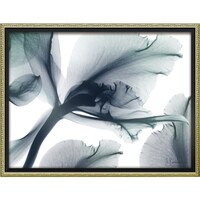 �w�������L�����o�X�u�G�o�[���X�e�B���O�i�l�j�v