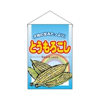 �݉����@�U�R�O�T�T�@�Ƃ����낱��