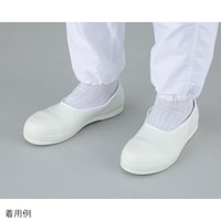 �I�[�g�N���[�u�ŋۑΉ��V���[�Y�i��c����