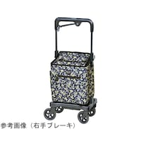 �E�H�[�L���O�L�����[�@�A�C�J�[�g�t���[�f