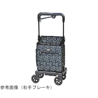 �E�H�[�L���O�L�����[�@�A�C�J�[�g�t���[�f