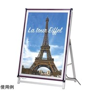 �t���b�V���`�@�`�P�Жʃ��[�@�V���o�[�@�T
