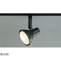 �X�|�b�g���C�g�r�[�����F���[���@�k�d�c�b