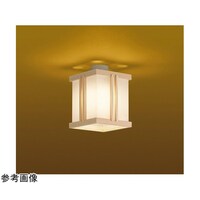 �k�d�c���`�V�[�����O���C�g�@�k�d�c�f�W�W
