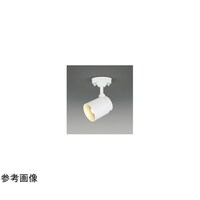 �k�d�c�X�|�b�g���C�g�@�k�d�c�r�W�W�O�O�Q