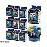 �M�����N�V�[�X�m�[�h�[�����C�g�@�P�Z�b�g