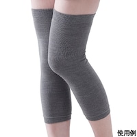 �z�b�g���C���ԁ@�Ђ��T�|�[�^�[�@�P�O�P�O