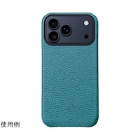 �V�������P���J�[�t�l�`���r�������Ή��o�b