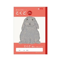 �w�K���@�������@�P�O�}�X�q�@�m�i�Q�Q
