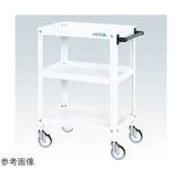 �X�[�p�[���S���i�i�C�����E���^���ԁ^�R�i