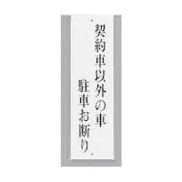 �T�C���v���[�g�@�_��ԈȊO�̎Ԓ��Ԃ��f��