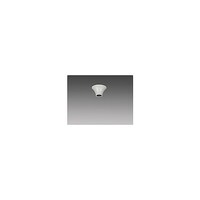 �V�[�����O�@�{�́@�����v�����@�k�b�T�O�T