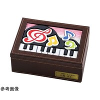 �R���p�N�g���U�[���I���S�[�����i�����j