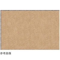 �X�^���_�[�h�}�b�g�r�@�`�l�O�O�P�V�V�@�T
