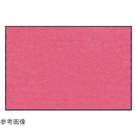 �X�^���_�[�h�}�b�g�r�@�`�l�O�O�P�W�T�@�T