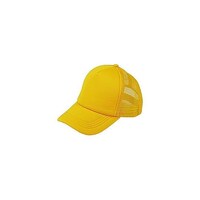 �J���[�_���X�L���b�v�@�C�G���[�@�`�s�b�S�X�T�R�w�P�O
