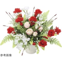 �A���N�����[�Y�@�Q�T�S�V�`�X�T