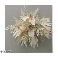 �E�I�[���^�C�v�A���X�����[���@�S�T�@�Q�T