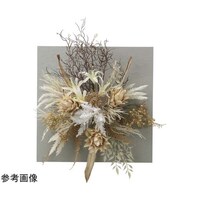 �E�I�[���^�C�v�W���W���[�@�S�T�@�Q�T�T�X