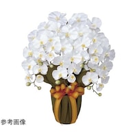 �G���K���g�Ӓ����@�T�{���@�v�@�S�T�Q�`�W