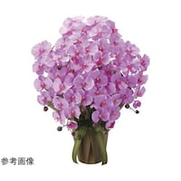 �G���K���g�Ӓ����@�V�{���@�k�`�u�@�Q�S�S