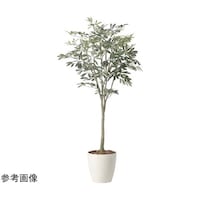 �I���[�u�c���[�@�P�D�V�@�Q�S�Q�U�`�R�P�O