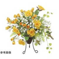 �S�[���h�x���[�@�Q�T�S�T�`�W�T
