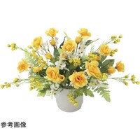 �S�[���h�����@�Q�T�U�P�`�V�O
