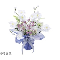 �Z�C���@�Q�T�W�V�`�V�O