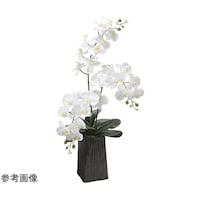 �f�U�C���t���b�V���Ӓ����@�Q�T�V�X�`�Q�O