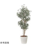 �f���b�N�X�I���[�u�@�P�D�W�@�Q�T�V�R�`�U